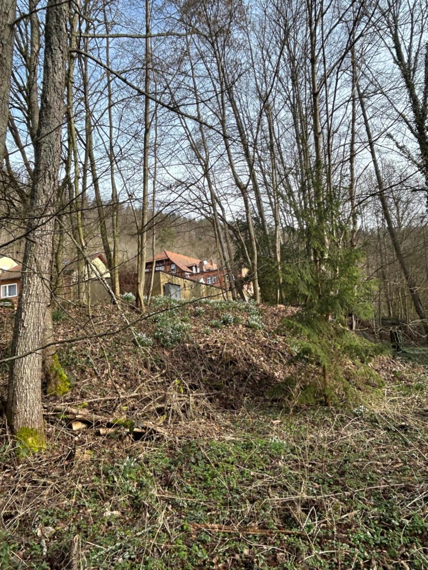 Villa Am Fluss Pforzheim Extérieur photo
