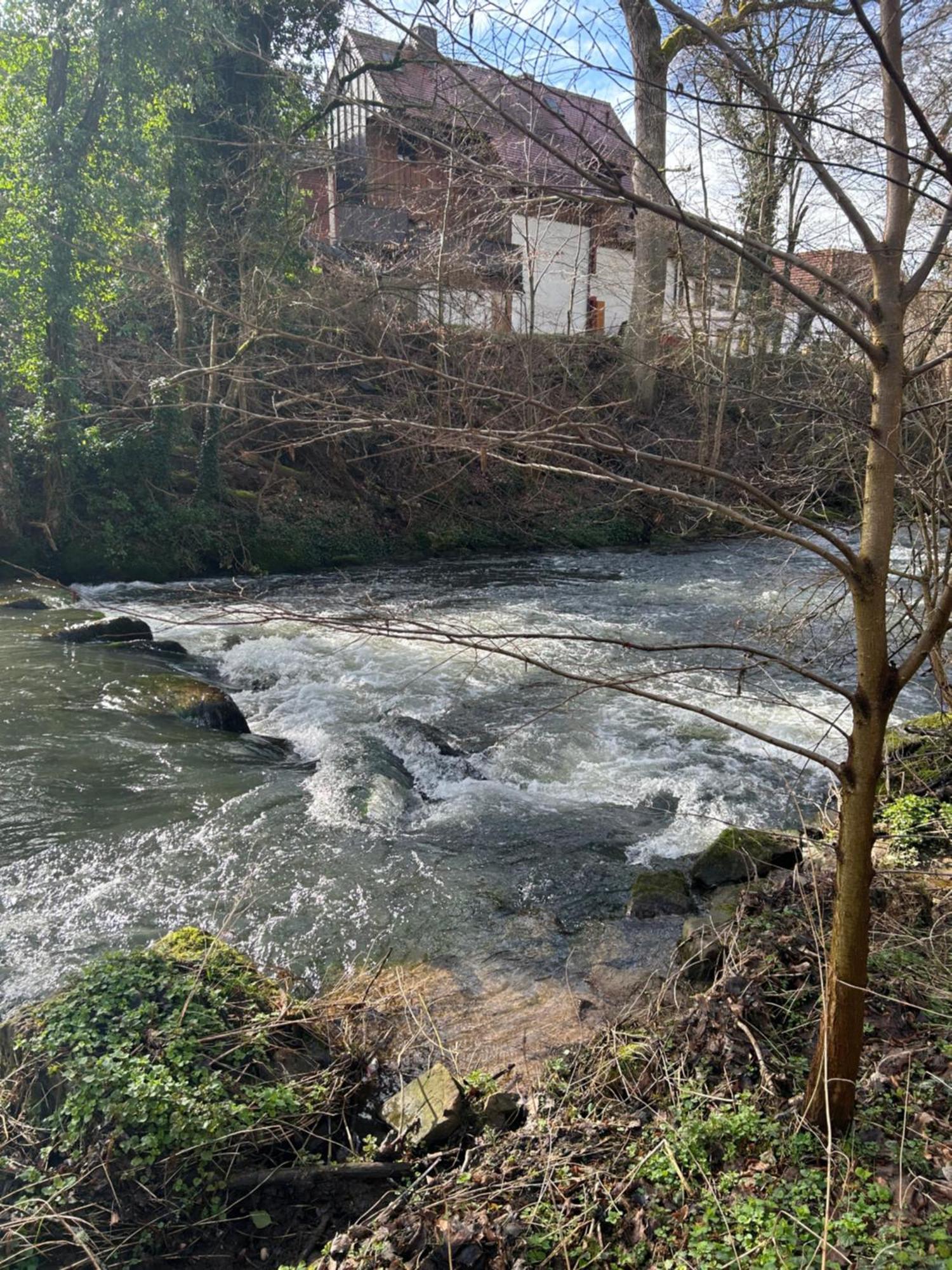 Villa Am Fluss Pforzheim Extérieur photo