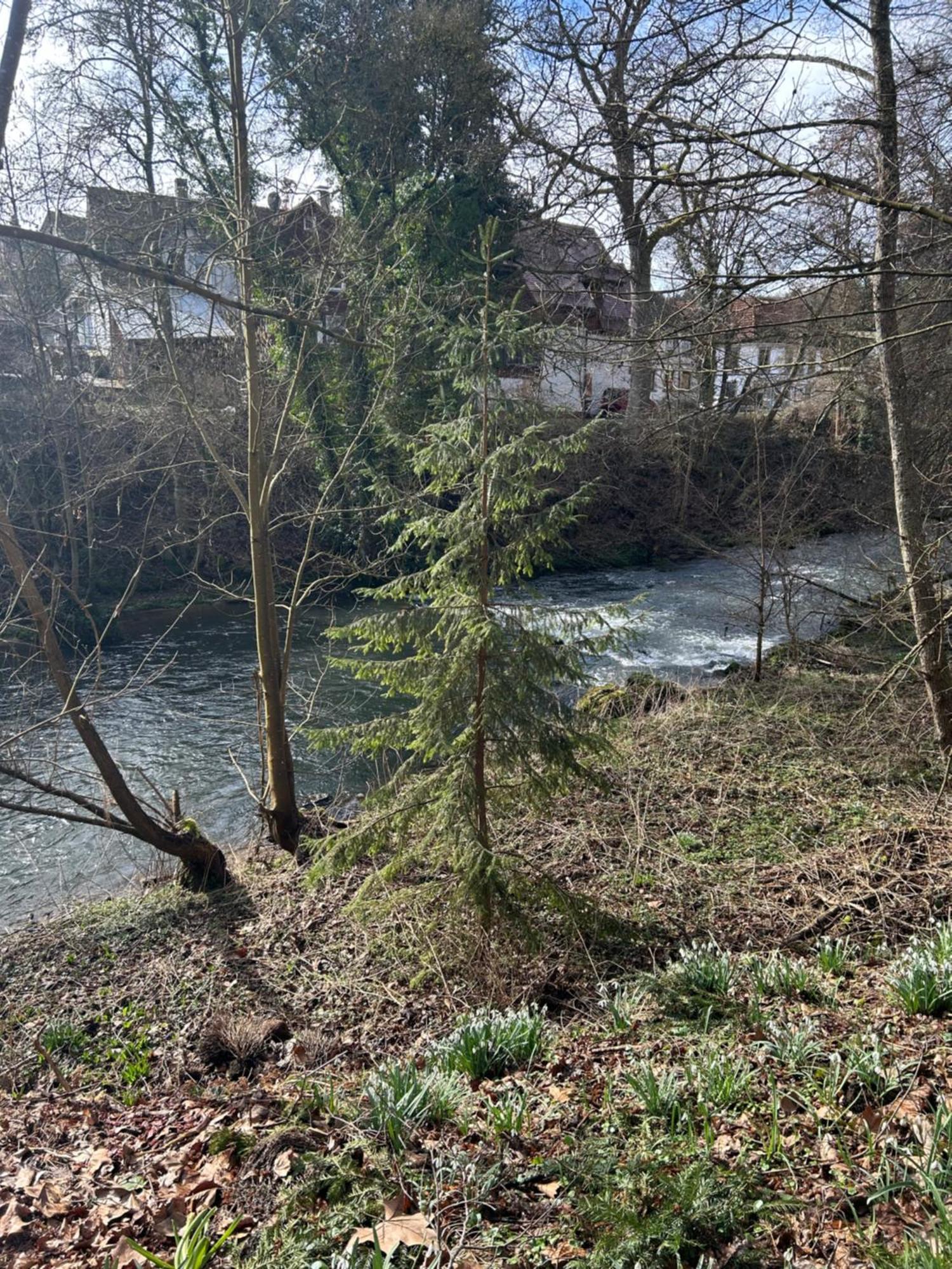Villa Am Fluss Pforzheim Extérieur photo