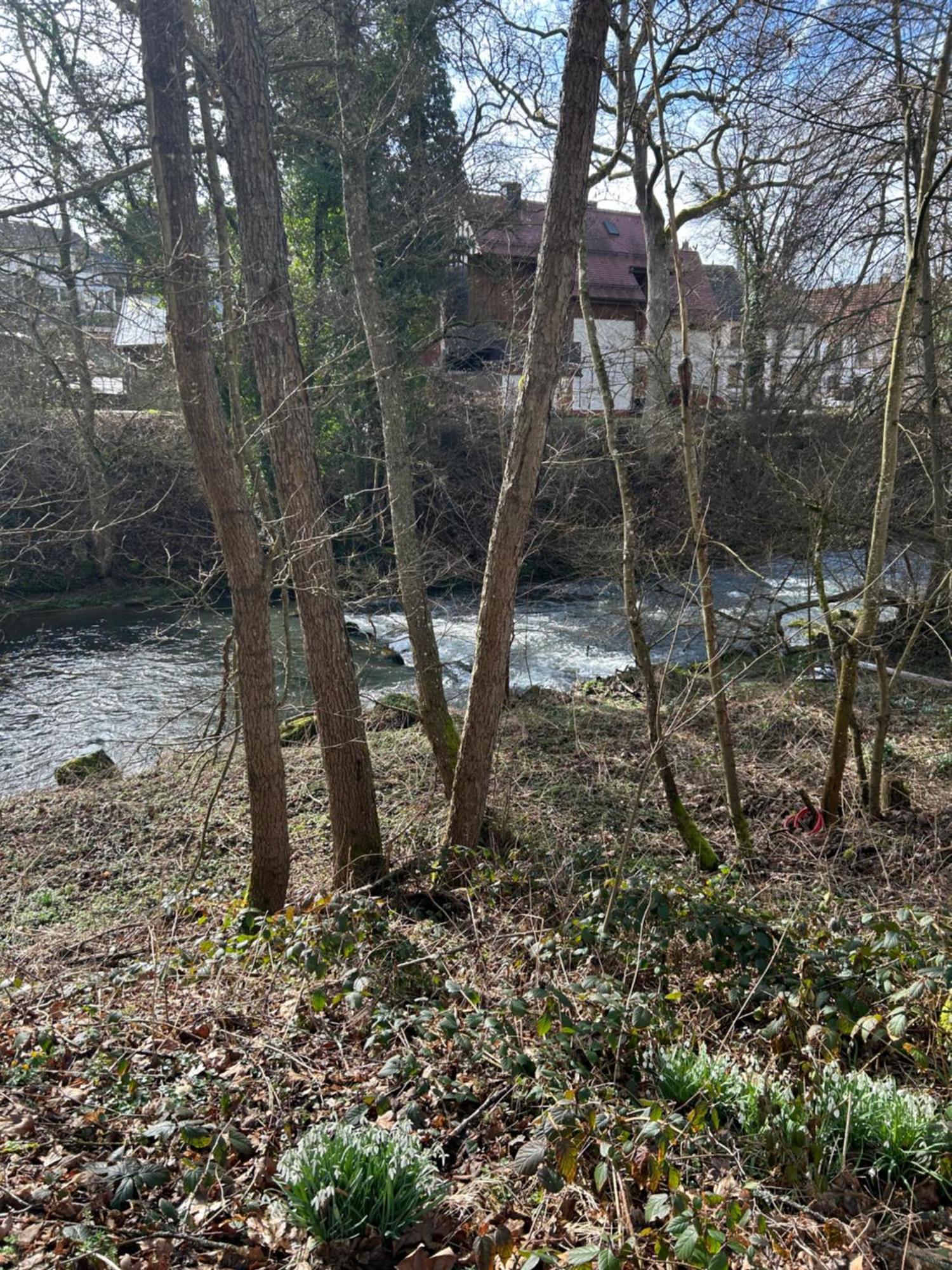 Villa Am Fluss Pforzheim Extérieur photo