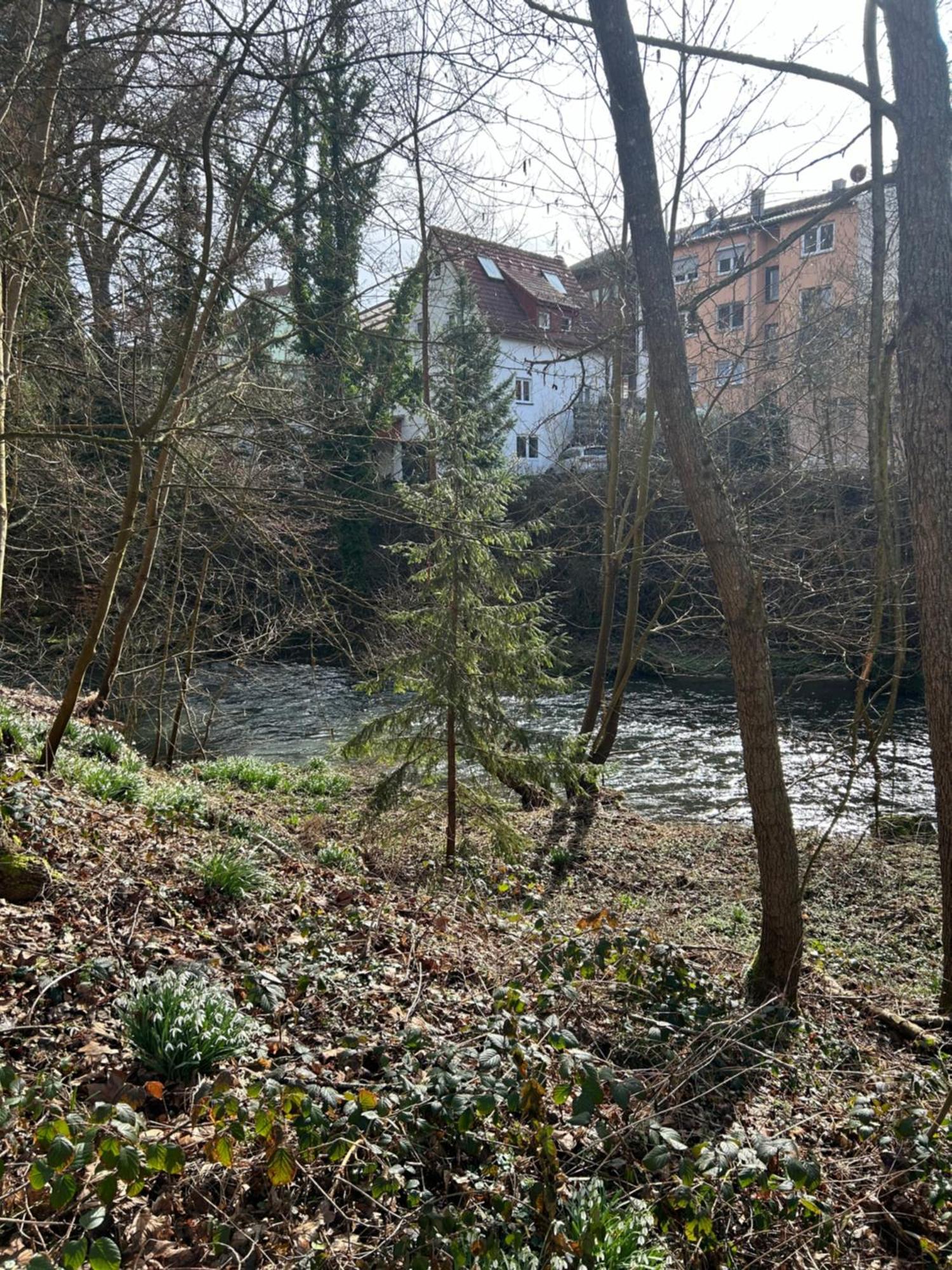Villa Am Fluss Pforzheim Extérieur photo
